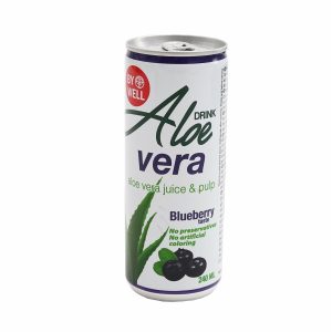 Bebida De Aloe Vera Blueberry BY WELL 240 Ml