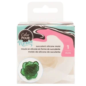 Color Pour Resin Succulent Mold / Molde de Suculenta Para Resina