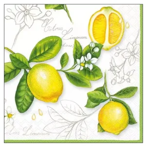 Servilleta de Papel Citrus Limonum #159