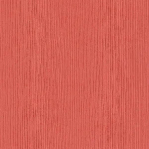 Fourz Cardstock Arroyo / Cartulina Color Coral 30.5 cm