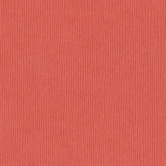 Fourz Cardstock Arroyo / Cartulina Color Coral 30.5 cm